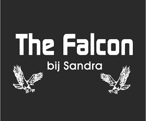 the_falcon_300-250.jpg